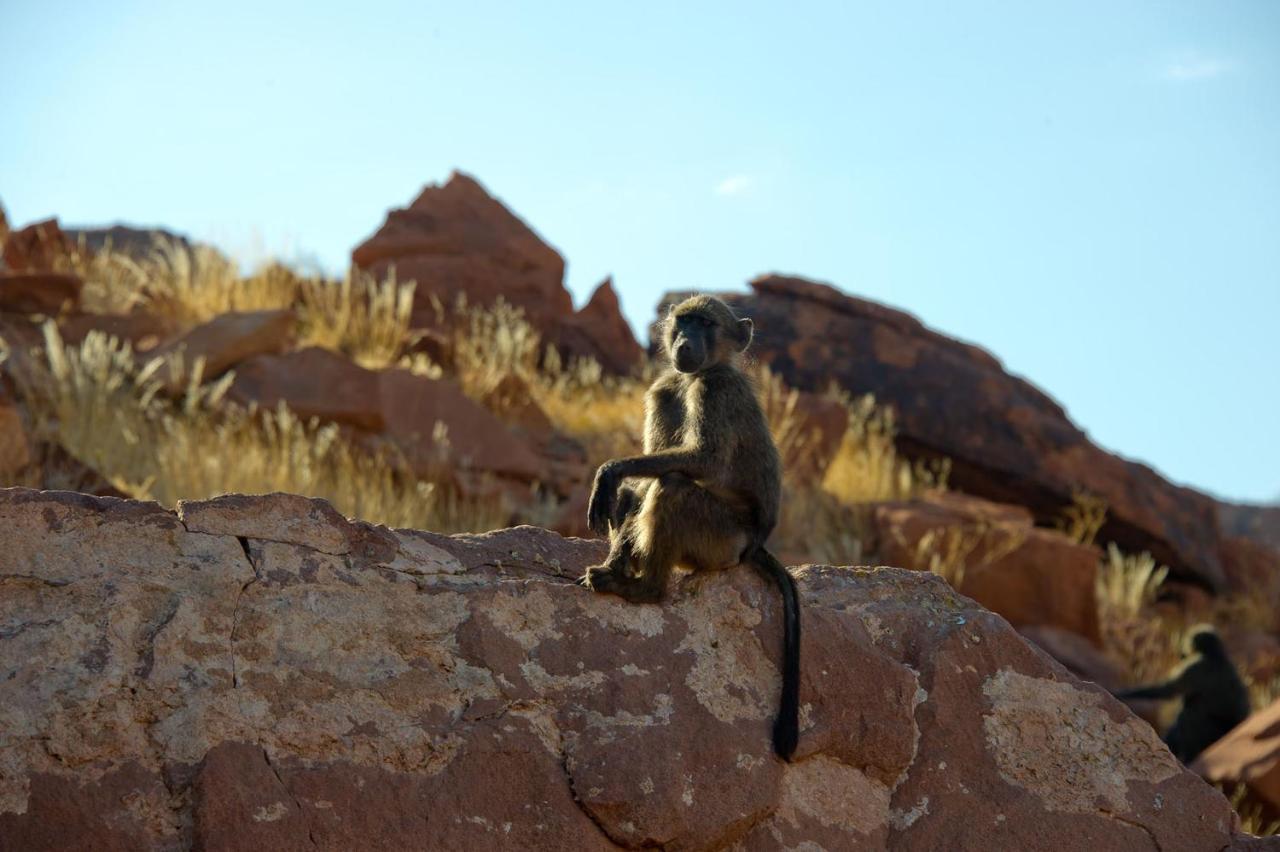 Villa Wilderness Safaris Doro Nawas à Twyfelfontein Extérieur photo